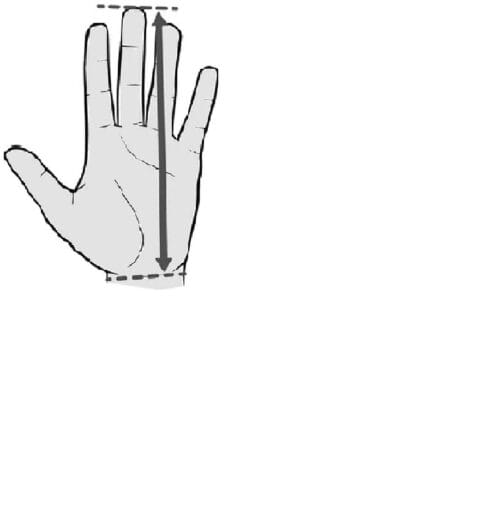Hand Length